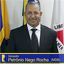 petronio_sapl_aBA7gml.png.128x128_q85_box-0,0,803,804_crop_detail.png