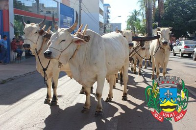 2016-05-05 Festa da Moagem (122)